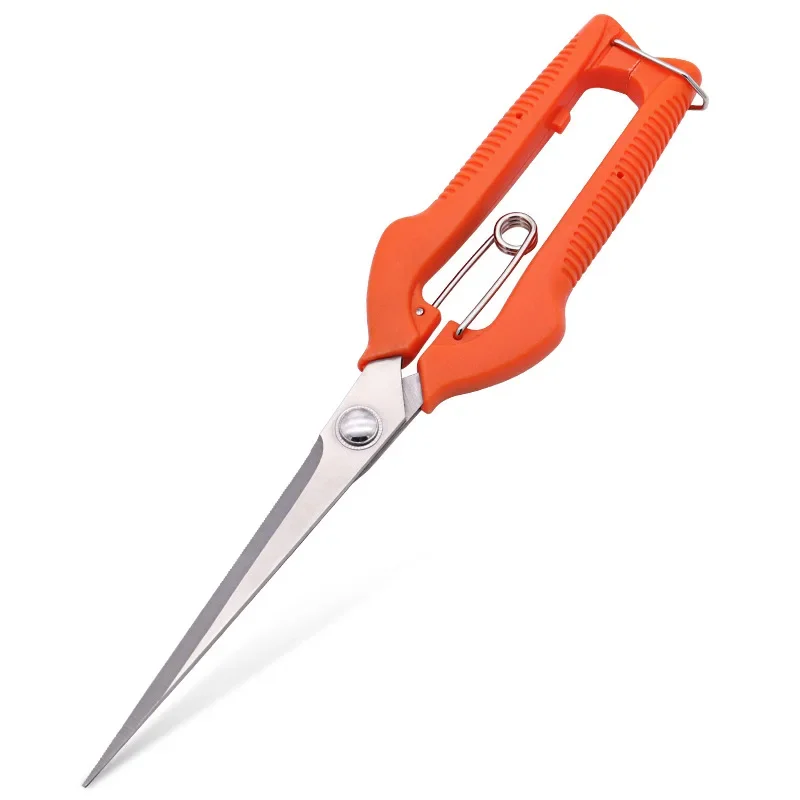 Grape Scissors Pruning Shears  - Furniture Joining Hardware recension och pris