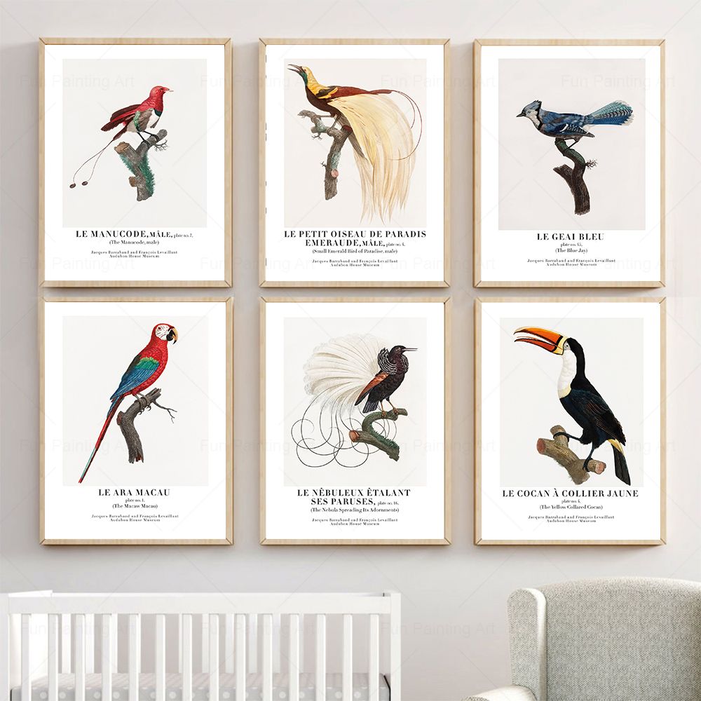 Vintage Paradise Bird Wall Art - Furniture Paradise & Hardware Ghaziabad Photos recension och pris