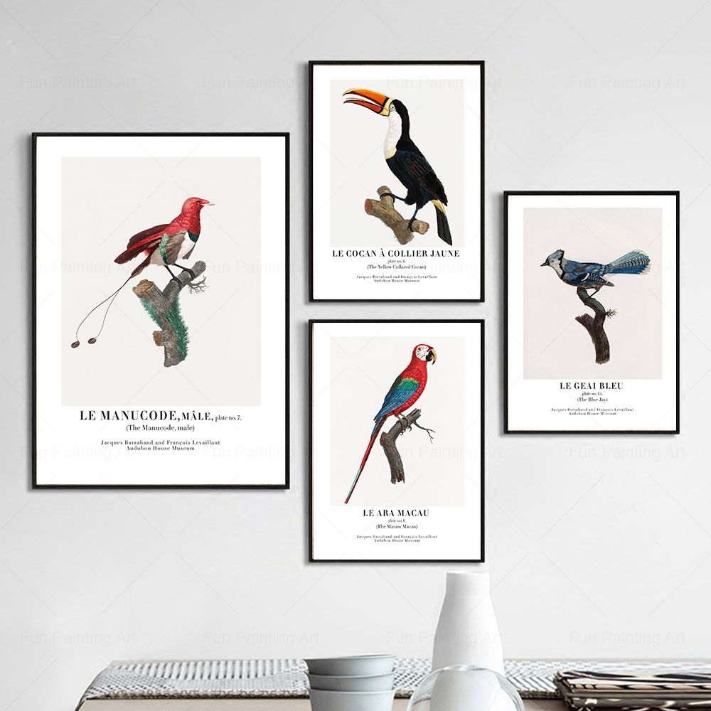 Vintage Paradise Bird Wall Art - Furniture Paradise & Hardware Ghaziabad Photos recension och pris