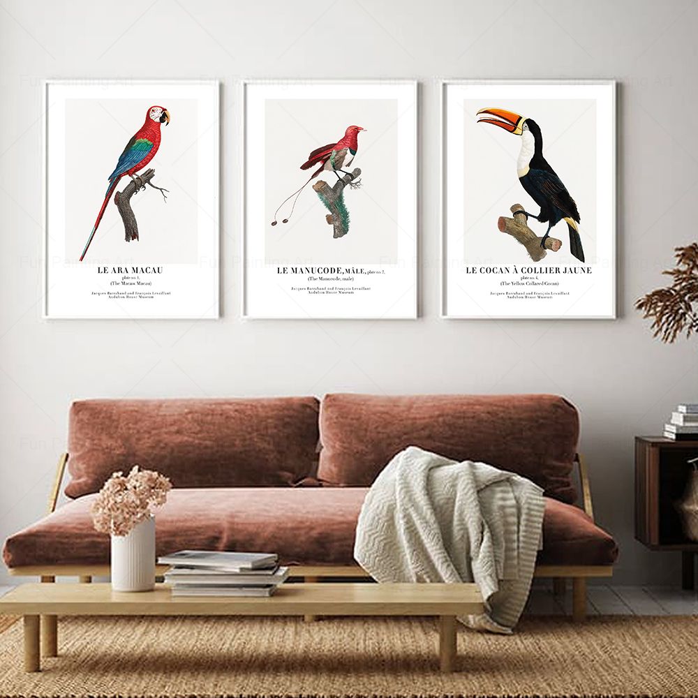 Vintage Paradise Bird Wall Art - Furniture Paradise & Hardware Ghaziabad Photos recension och pris