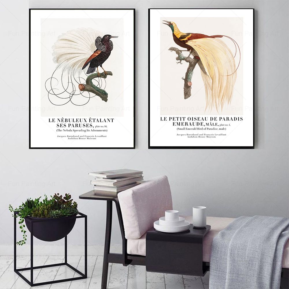 Vintage Paradise Bird Wall Art - Furniture Paradise & Hardware Ghaziabad Photos recension och pris