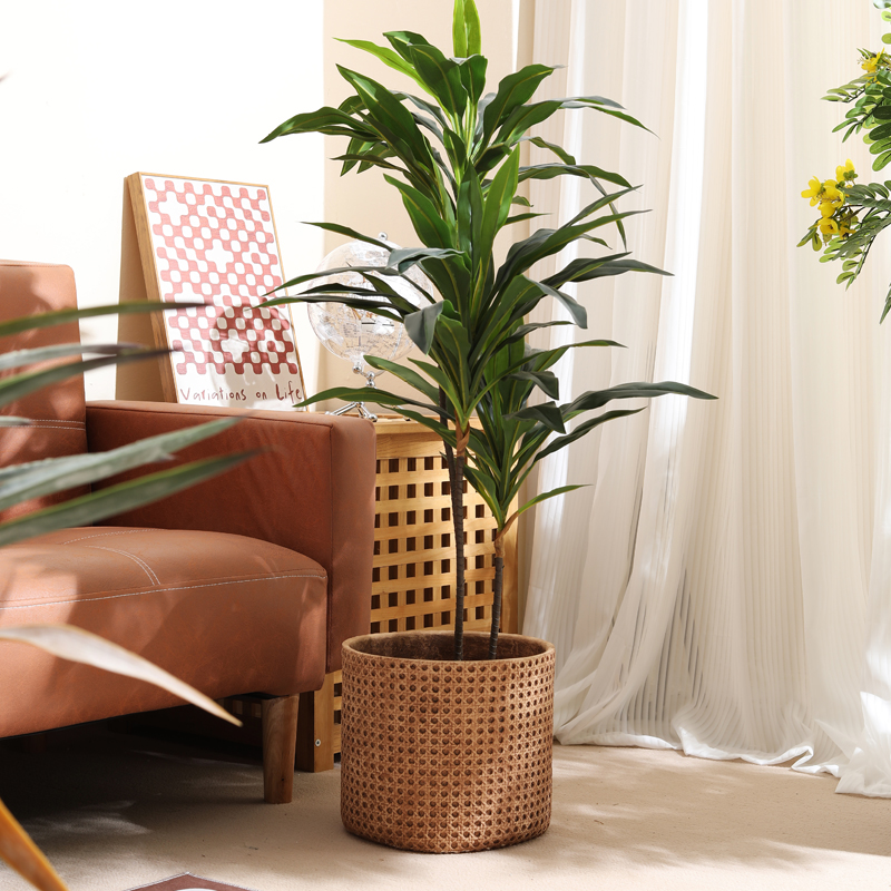 Furniture for small-sized apar - Furniture Paradise & Hardware Ghaziabad Photos recension och pris
