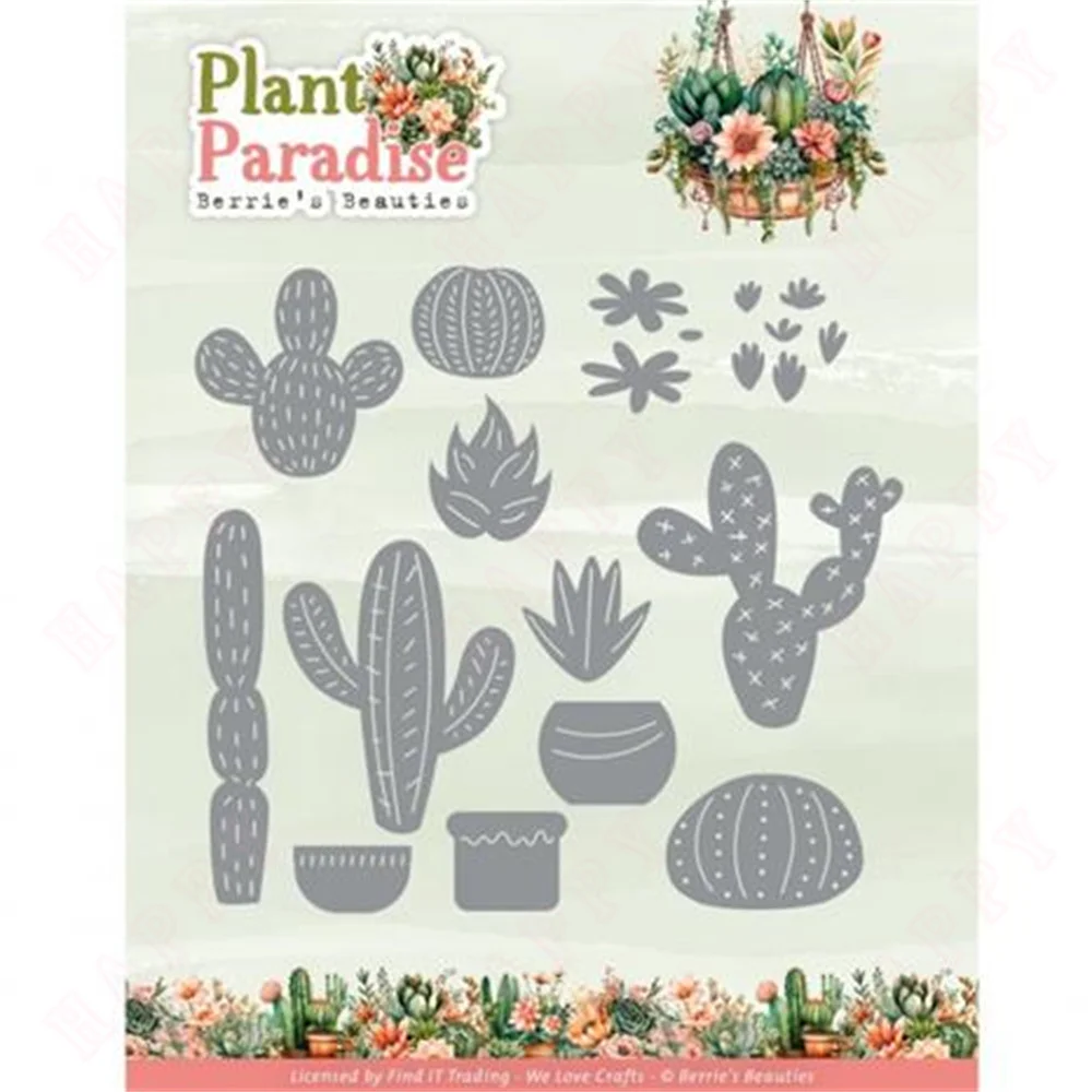 Plant Cactus Paradise Metal Cr - Furniture Paradise & Hardware Ghaziabad Photos recension och pris